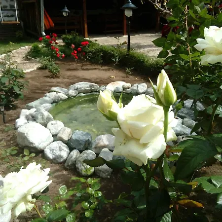 Guest house Staria Komita